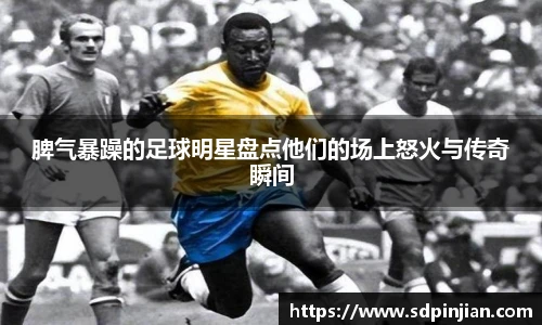 脾气暴躁的足球明星盘点他们的场上怒火与传奇瞬间